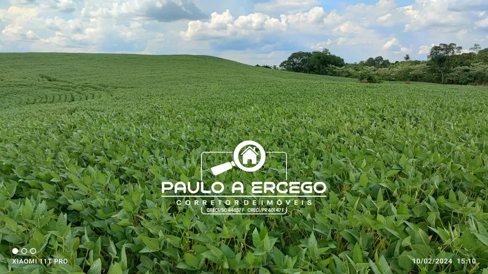 Sítio, 12 hectares - Foto 3