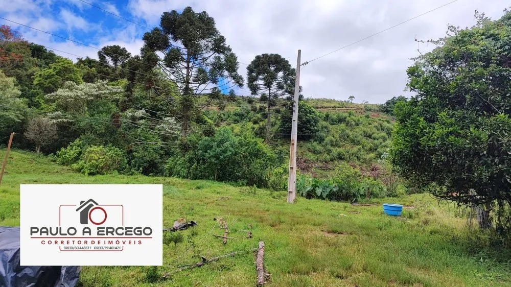Sítio, 12 hectares - Foto 11