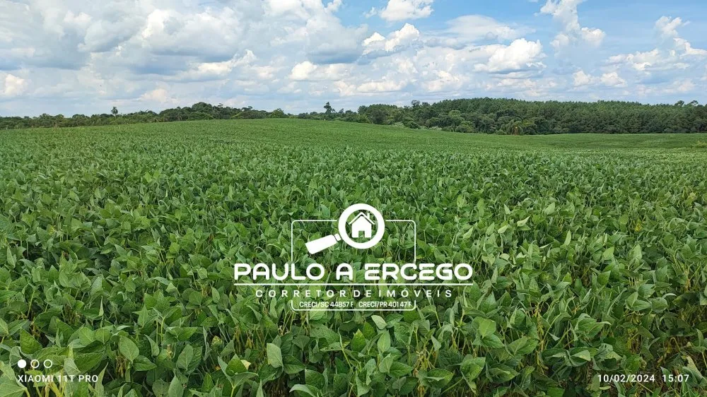 Sítio, 12 hectares - Foto 4
