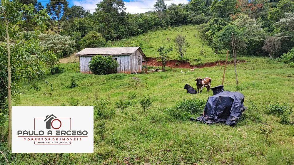Sítio, 12 hectares - Foto 13