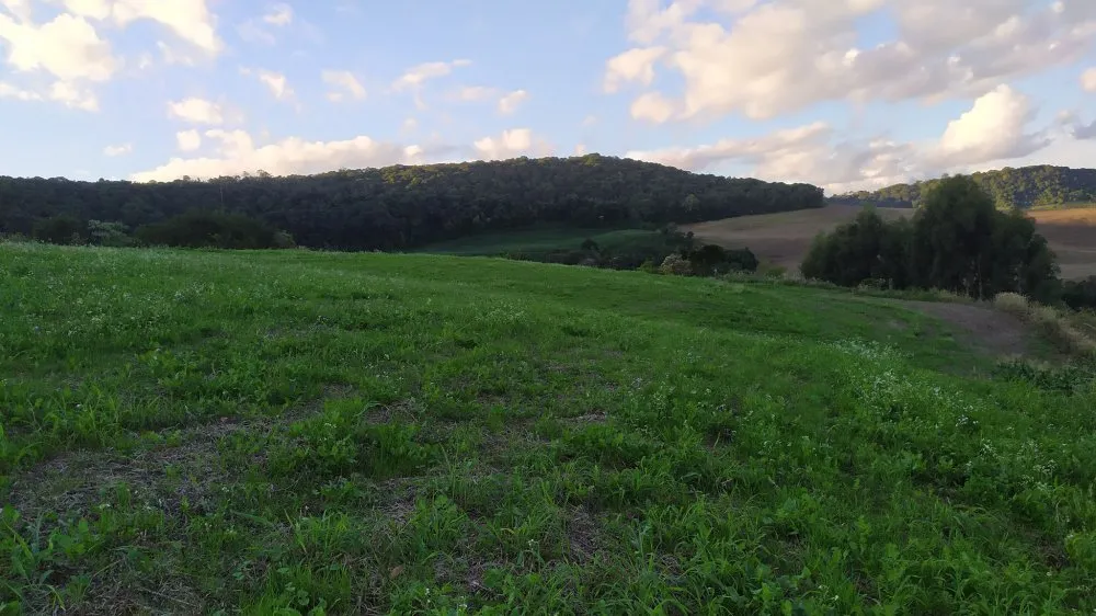 Fazenda, 17 hectares - Foto 4