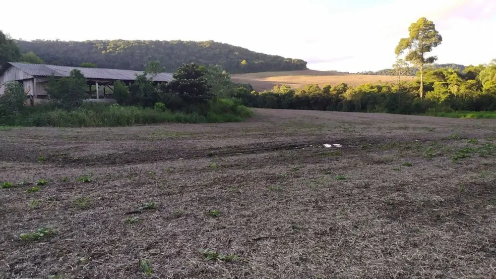 Fazenda, 17 hectares - Foto 2