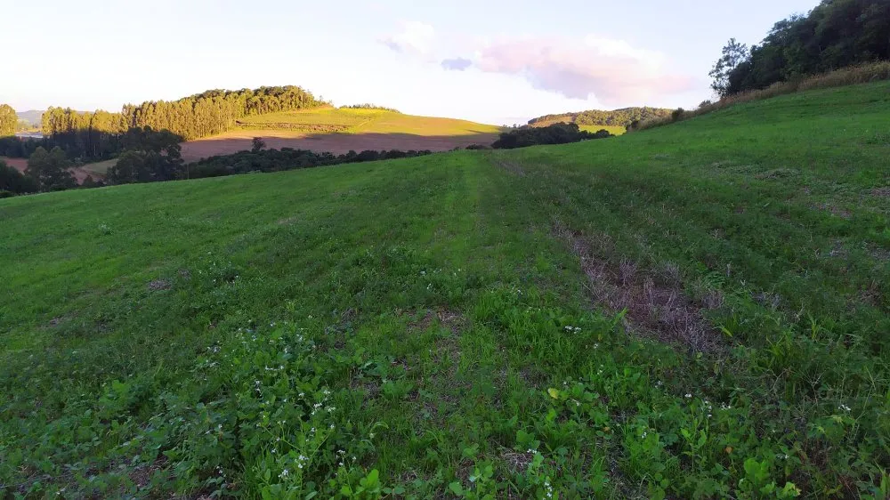 Fazenda, 17 hectares - Foto 1