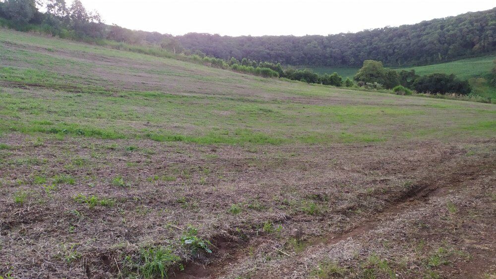 Fazenda, 17 hectares - Foto 2