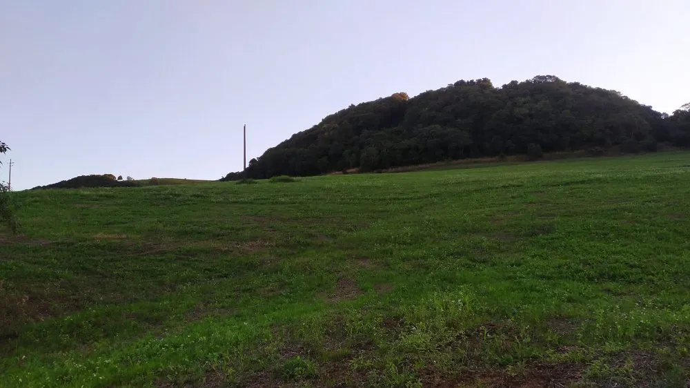 Fazenda, 17 hectares - Foto 12
