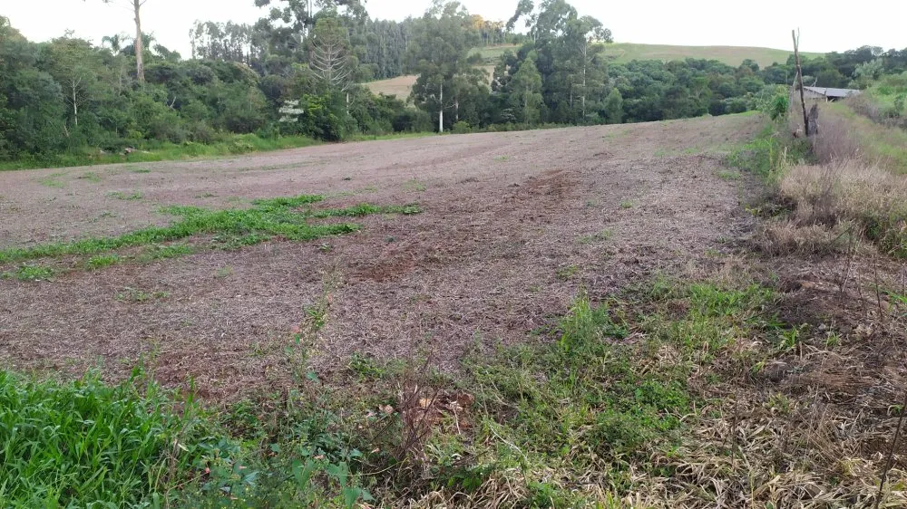 Fazenda, 17 hectares - Foto 20
