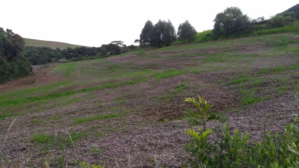 Fazenda, 17 hectares - Foto 16