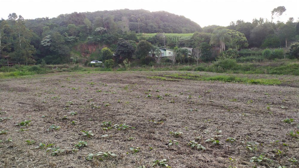 Fazenda, 17 hectares - Foto 11