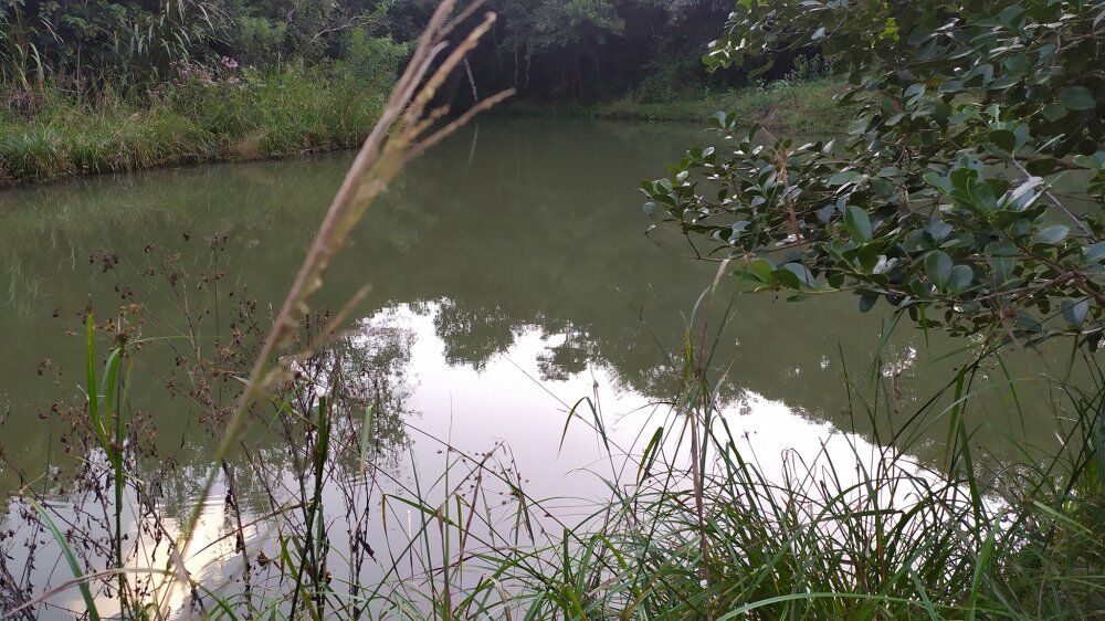 Fazenda, 17 hectares - Foto 1