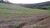 Fazenda, 17 hectares - Foto 2