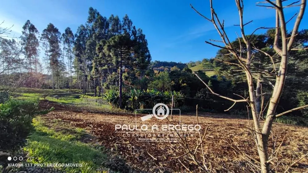 Chácara, 7 quartos, 2 hectares - Foto 6