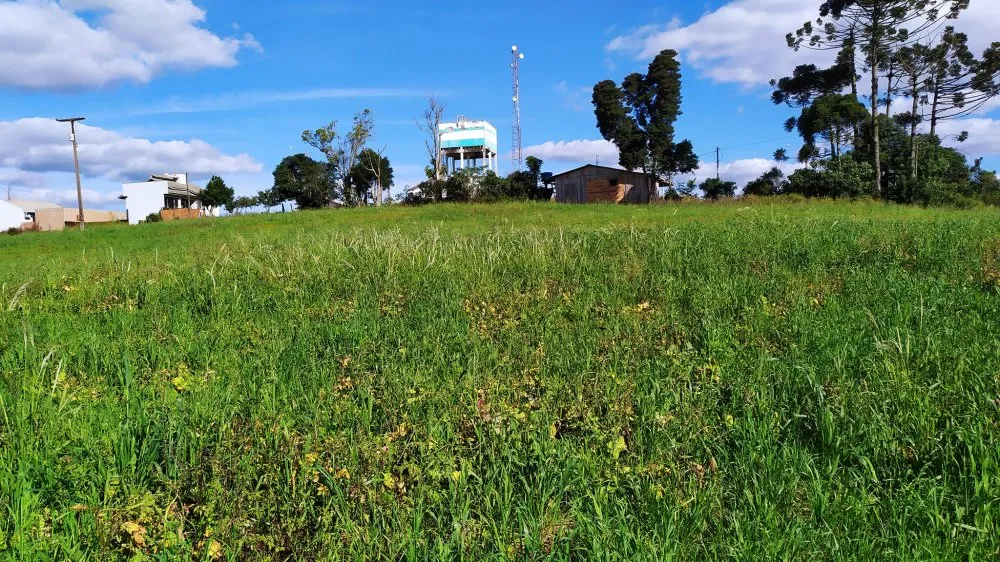 Terreno, 3 hectares - Foto 11