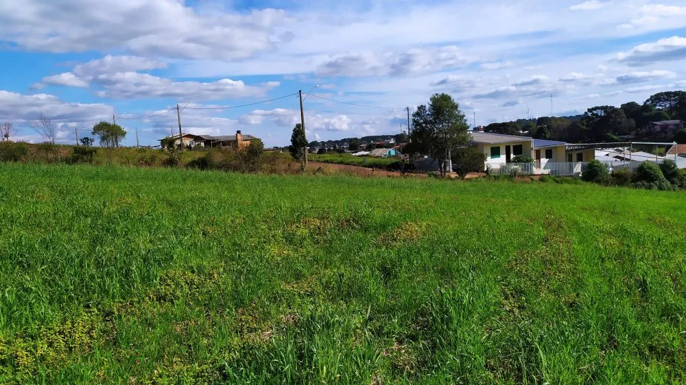 Terreno, 3 hectares - Foto 5