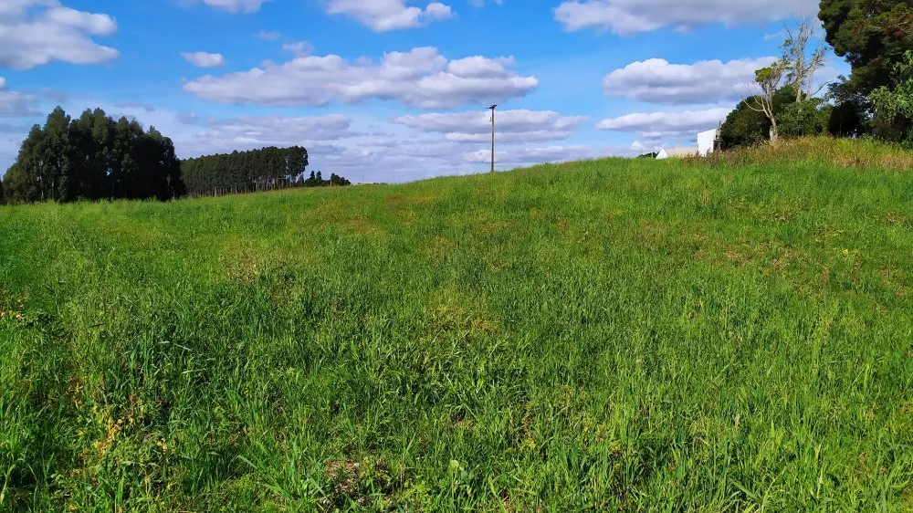 Terreno, 3 hectares - Foto 8