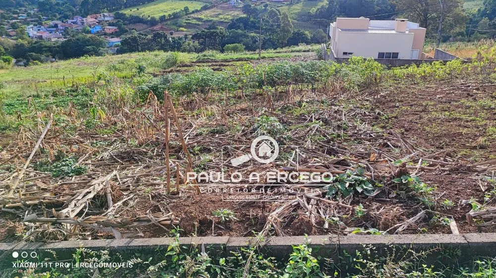 Terreno, 422 m² - Foto 3
