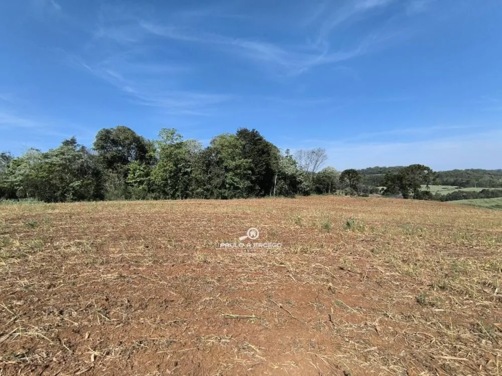 Sítio, 2 quartos, 3 hectares - Foto 4