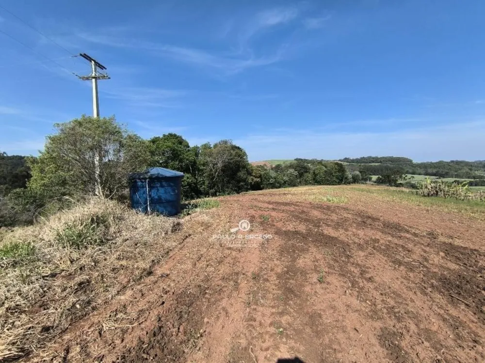 Sítio, 2 quartos, 3 hectares - Foto 19