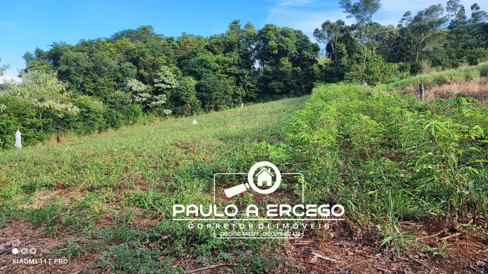 Casa, 3 quartos, 2462 m² - Foto 12