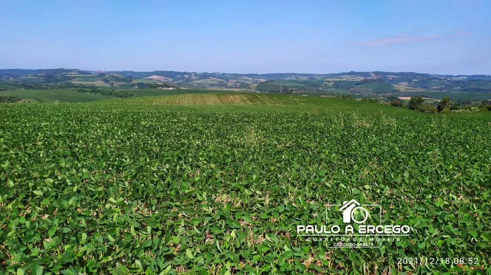 Fazenda, 181 hectares - Foto 8