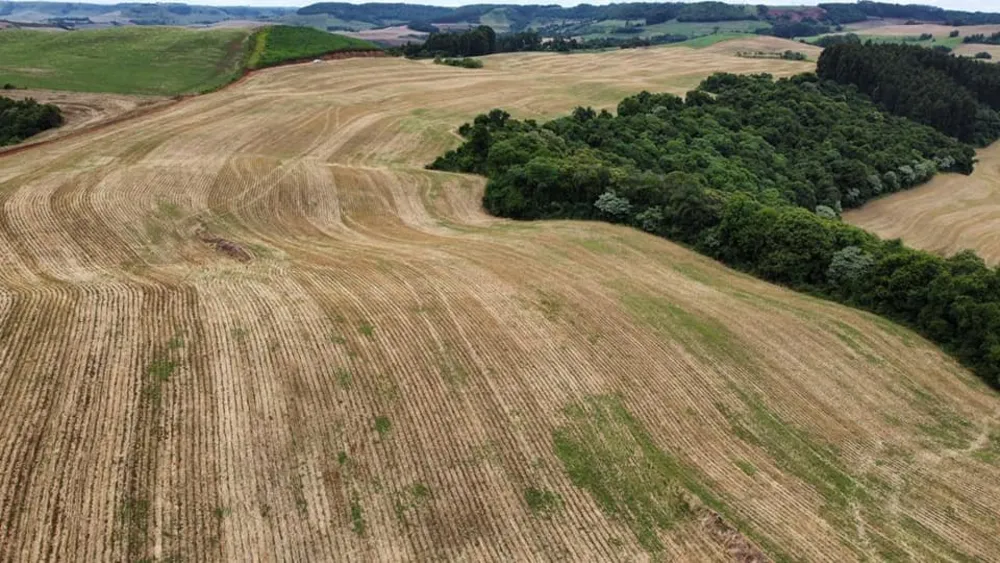 Fazenda, 181 hectares - Foto 3