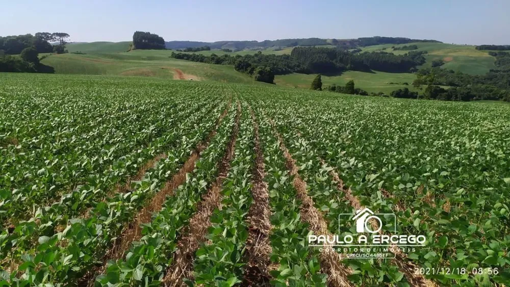 Fazenda, 181 hectares - Foto 6