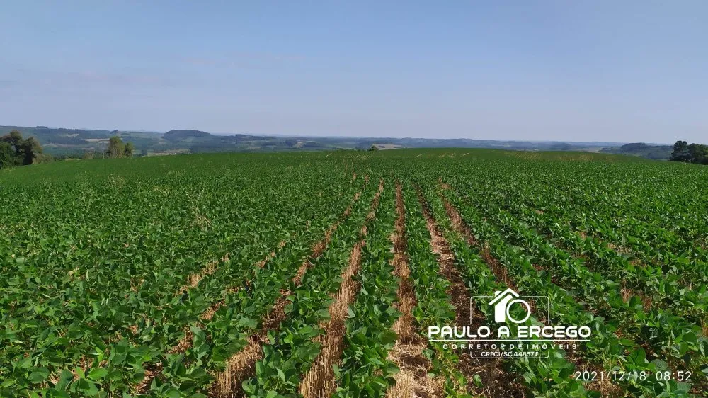 Fazenda, 181 hectares - Foto 7