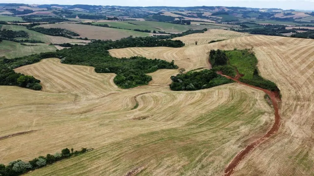 Fazenda, 181 hectares - Foto 2