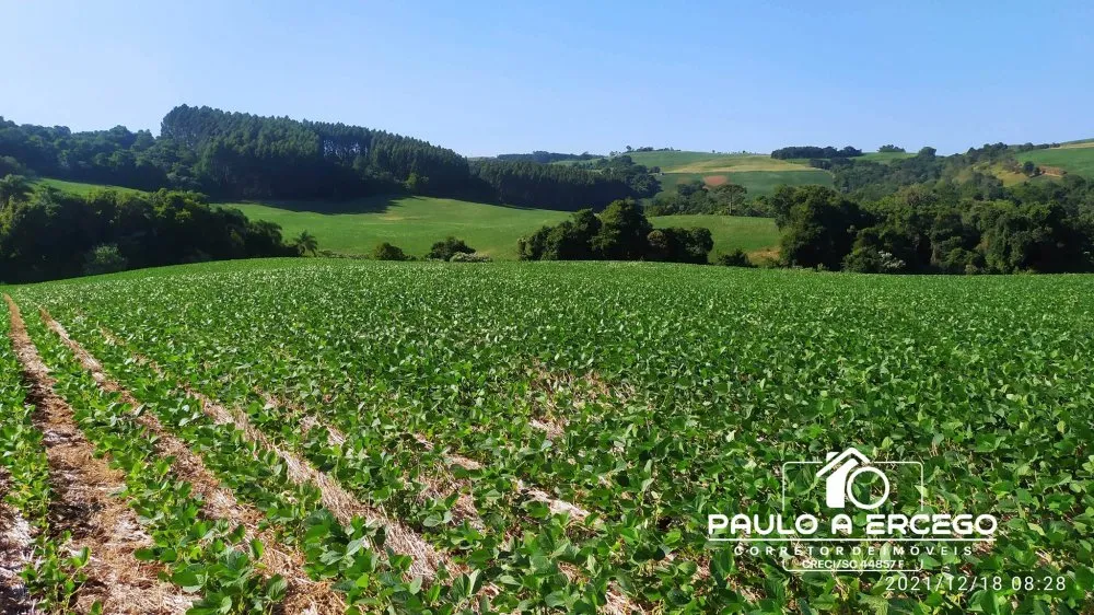 Fazenda, 181 hectares - Foto 1