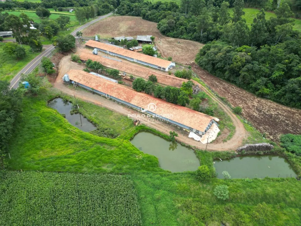 Sítio, 4 hectares - Foto 1