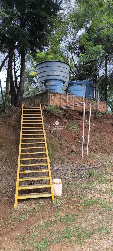Sítio, 4 hectares - Foto 16