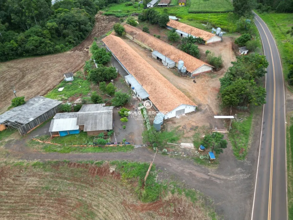 Sítio, 4 hectares - Foto 2