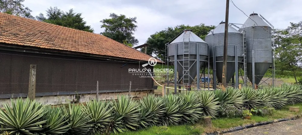 Sítio, 4 hectares - Foto 4