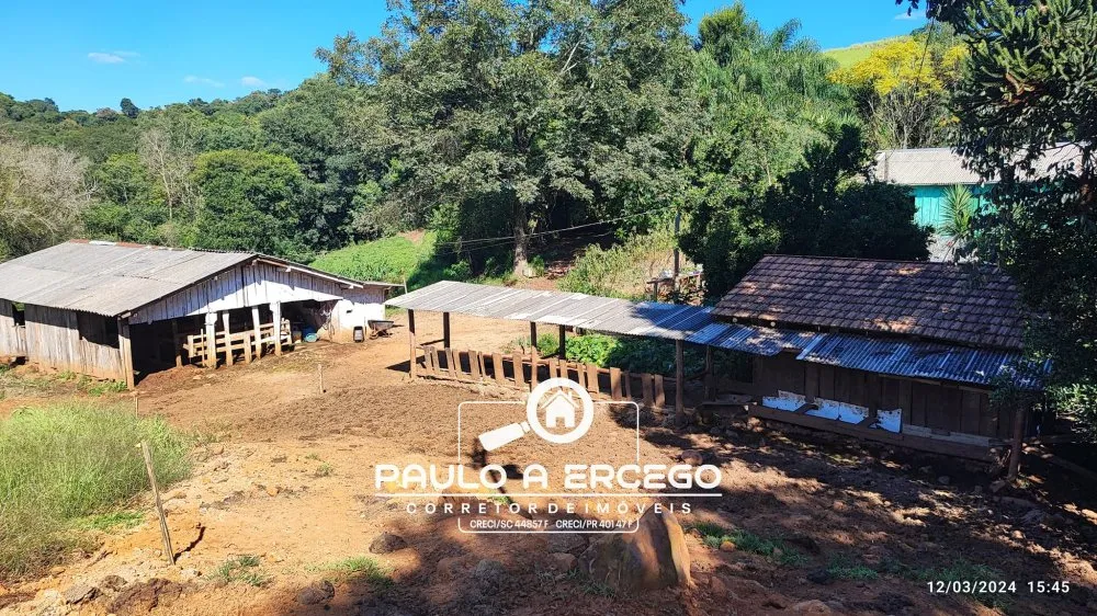 Sítio, 13 hectares - Foto 8