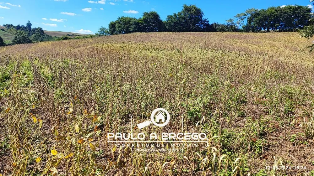 Sítio, 13 hectares - Foto 4