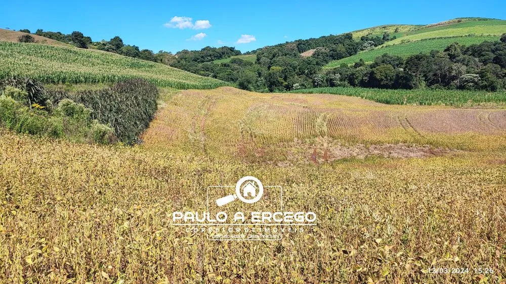 Sítio, 13 hectares - Foto 12