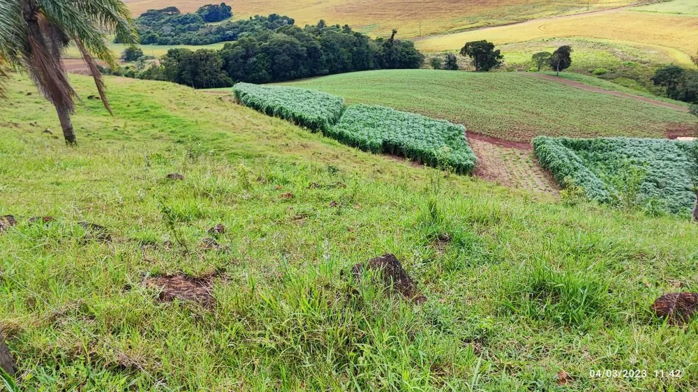 Sítio, 5 hectares - Foto 1