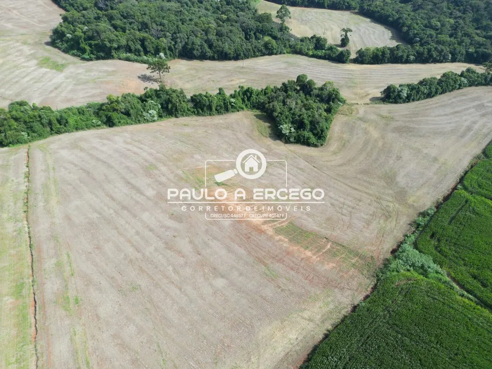 Fazenda, 41 hectares - Foto 10