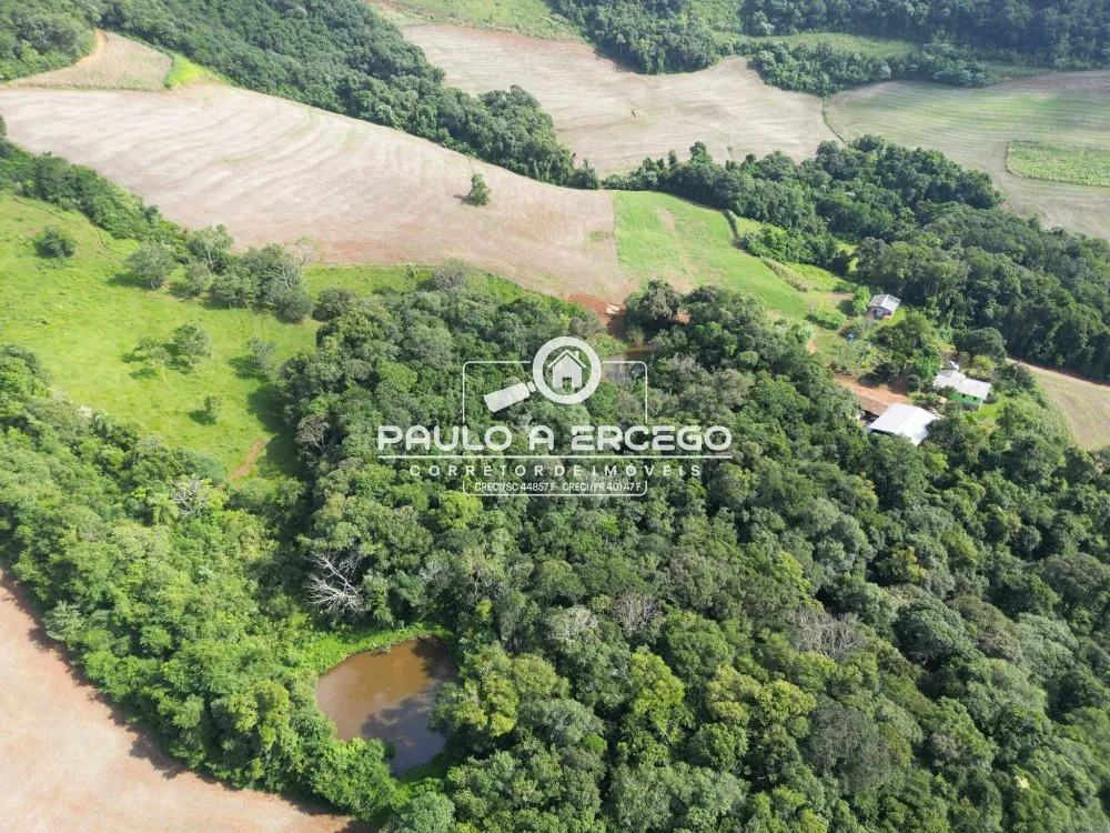 Fazenda, 41 hectares - Foto 16
