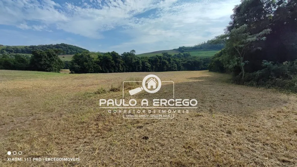 Fazenda, 41 hectares - Foto 5