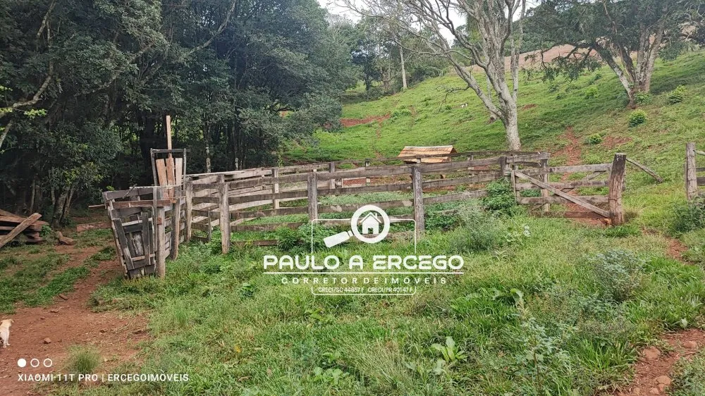 Fazenda, 41 hectares - Foto 11