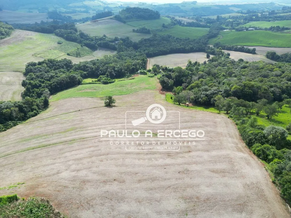 Fazenda, 41 hectares - Foto 13