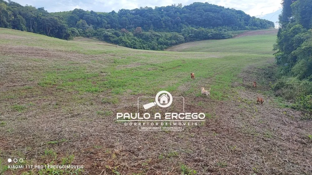 Fazenda, 41 hectares - Foto 15