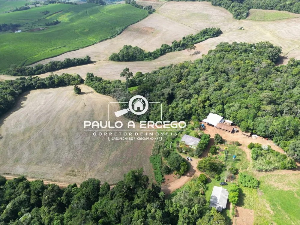 Fazenda, 41 hectares - Foto 14