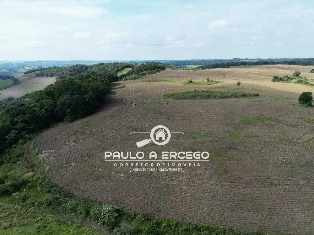 Fazenda, 41 hectares - Foto 6