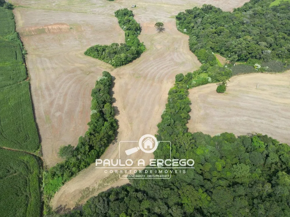 Fazenda, 41 hectares - Foto 7