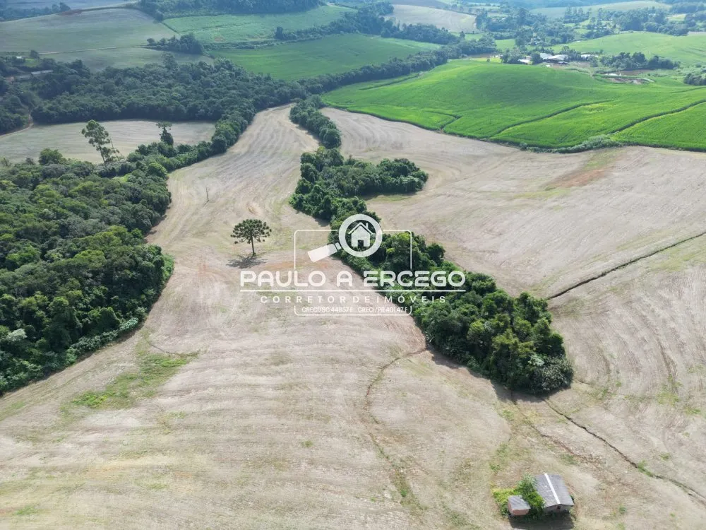 Fazenda, 41 hectares - Foto 9