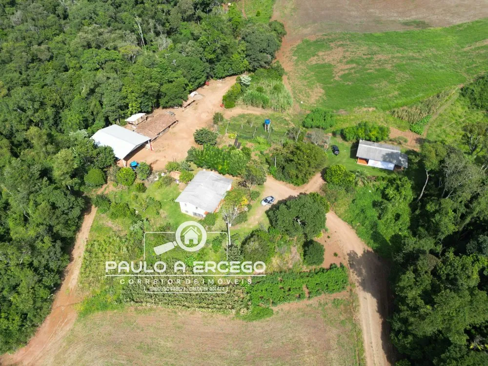 Fazenda, 41 hectares - Foto 8