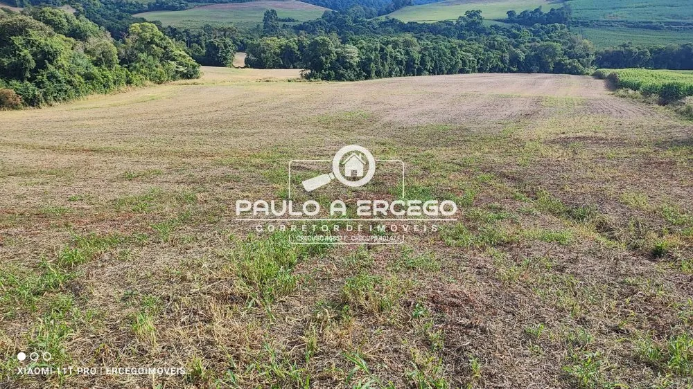 Fazenda, 41 hectares - Foto 12