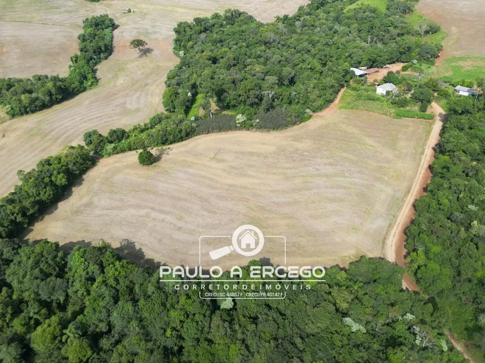 Fazenda, 41 hectares - Foto 4
