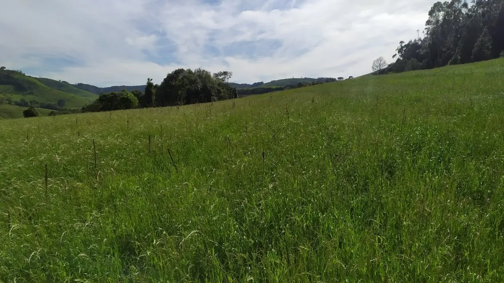Sítio, 4 quartos, 12 hectares - Foto 11